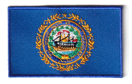 New Hampshire flag patch, 6.5 x 4 cm embroidered design.