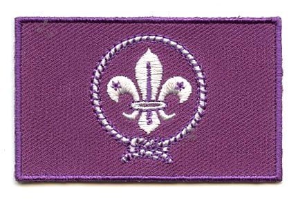Scouting flag patch featuring a fleur-de-lis and rope design on a purple background.
